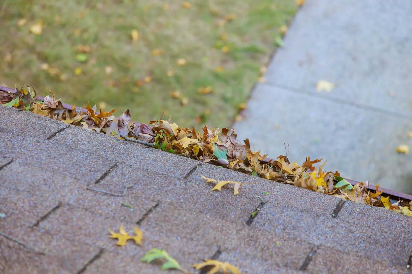 Autumn Leaves Clogging Gutter Cleaning
