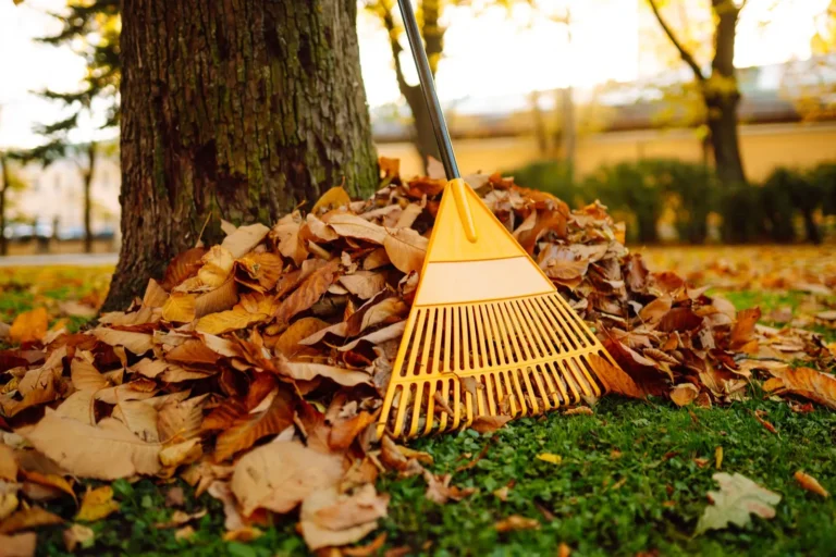 Residential seasonal cleanup by 2 Guys and a Mower KG