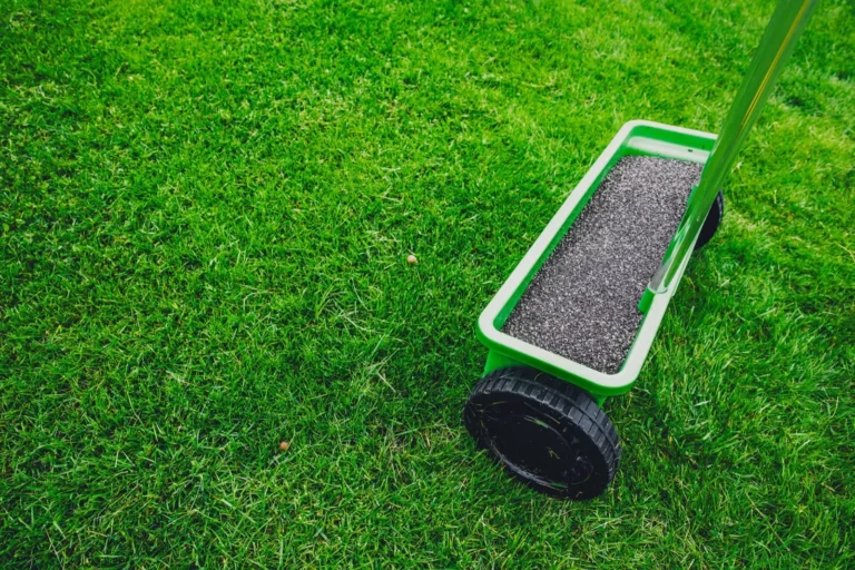 Fertilization & Lawn Treatment by 2 Guys and a Mower KG