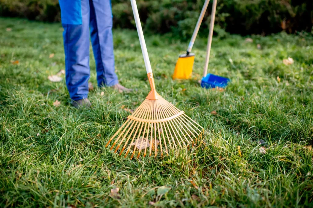 Lawn mowing and edging by 2 Guys and a Mower KG