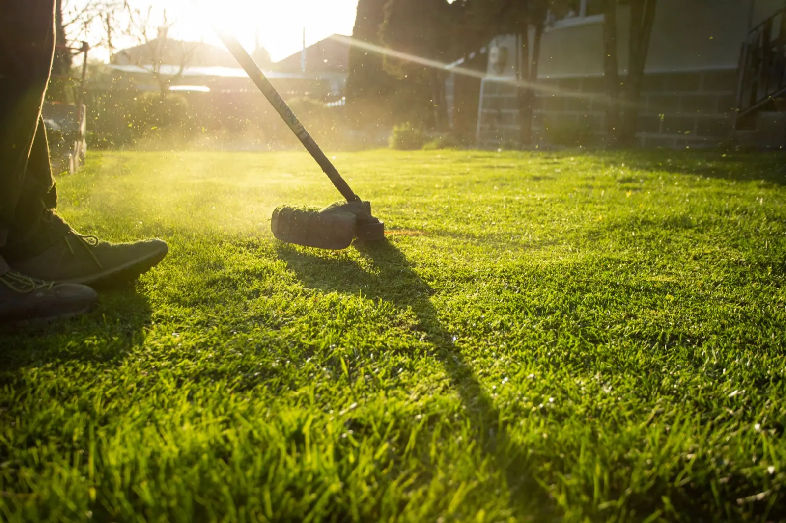 Residential Lawn Service Lawn Mower On Green Grass In Garden Lawn Mower
