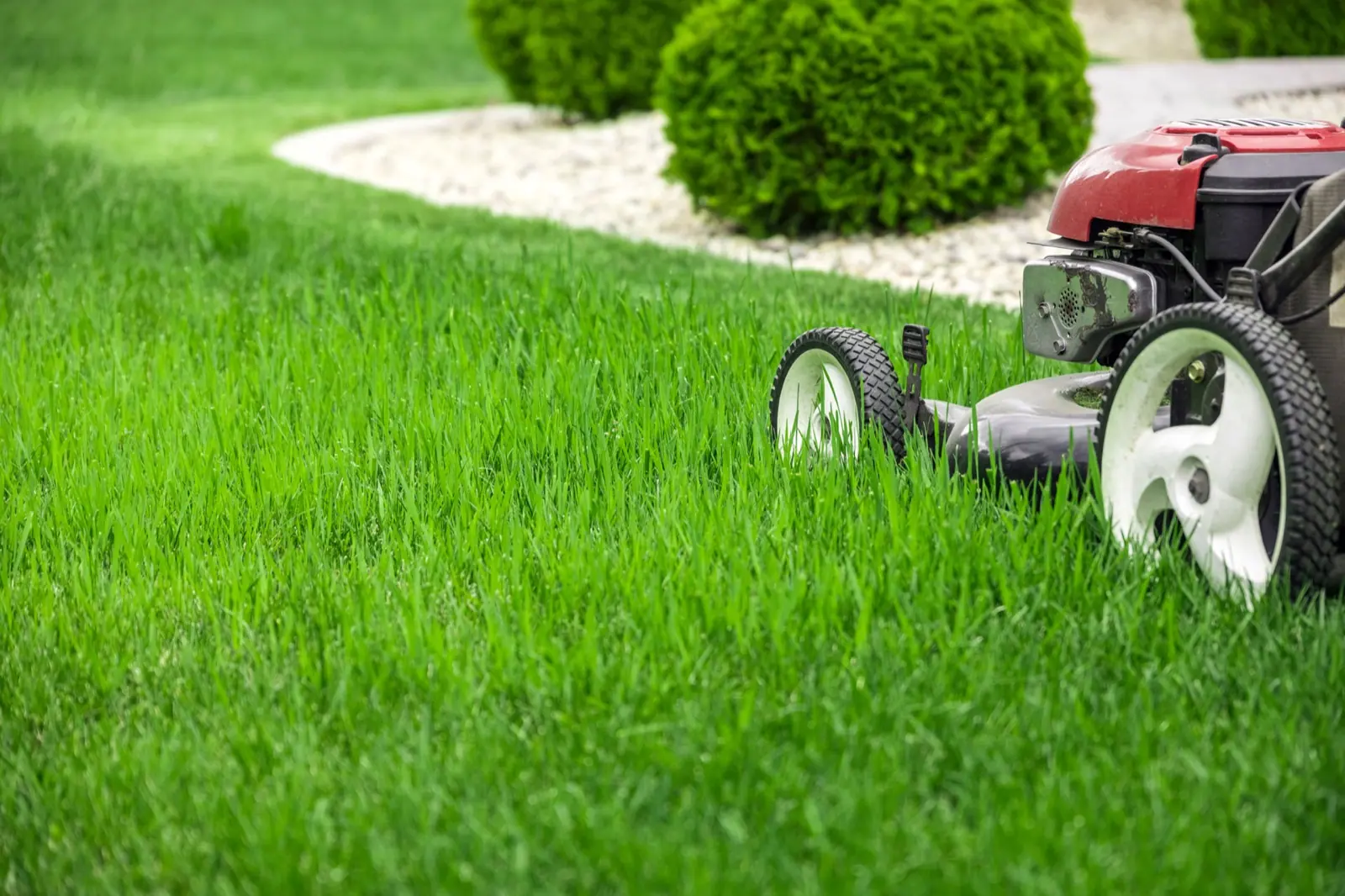 Residential Lawn Service Lawn Mower On Green Grass In Garden