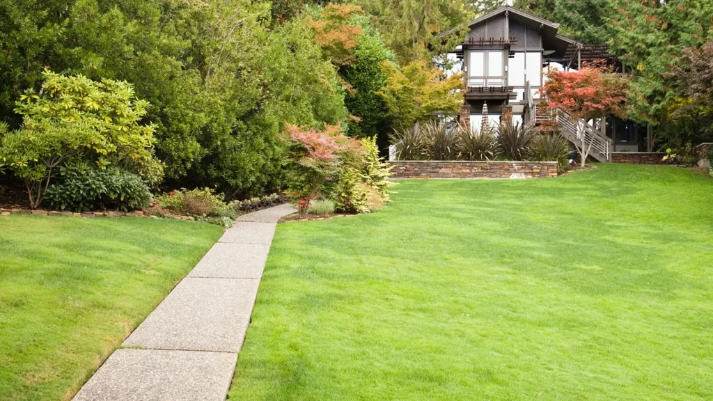 Lawn mowing and edging by 2 Guys and a Mower KG