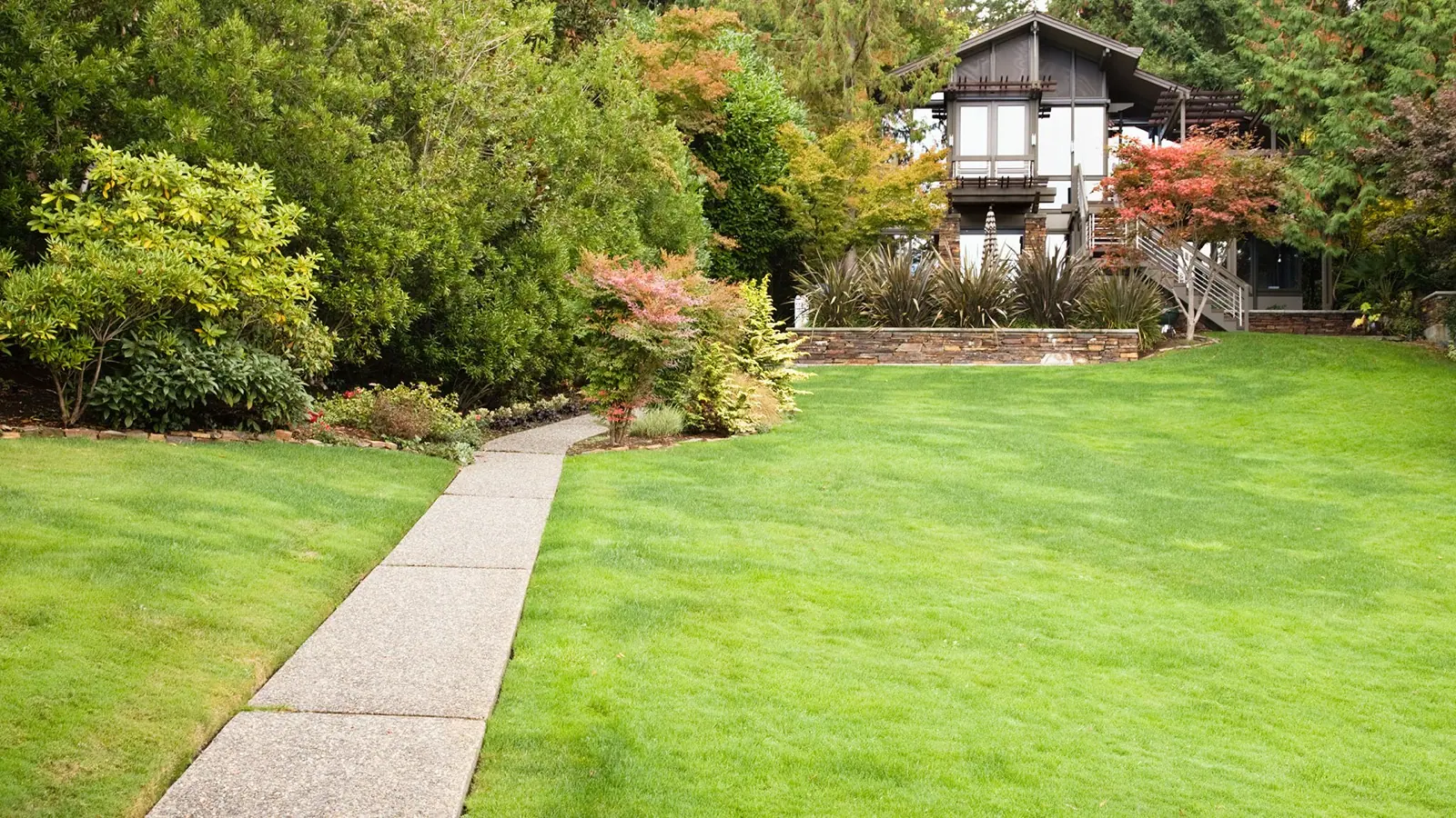 Residential Lawn Service  Lawn Services