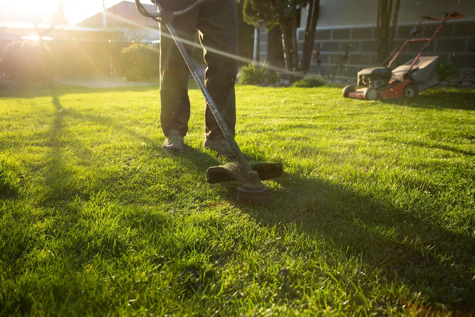 Residential Lawn Service  Trimming