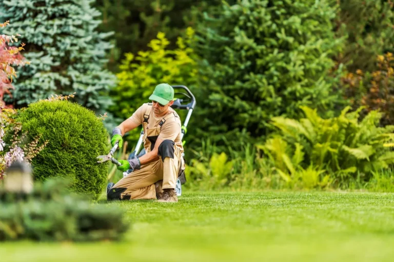 Commercial tree trimming by 2 Guys and a Mower KG